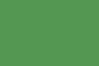 E-IMAGE SBP10 Background paper (2.72*10M) 54 Stinger Фон бумажный, зеленый
