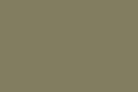 E-IMAGE SBP10 Background paper (2.72*10M) 10 Leaf Фон бумажный, болотный